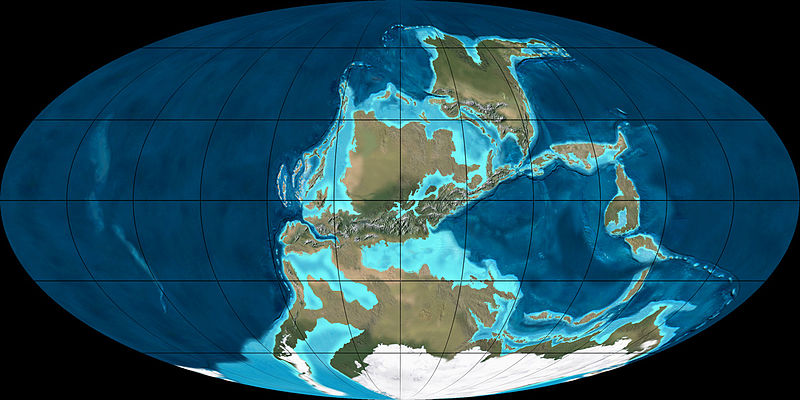 Так выглядела Земля в Каменноугольном периоде.