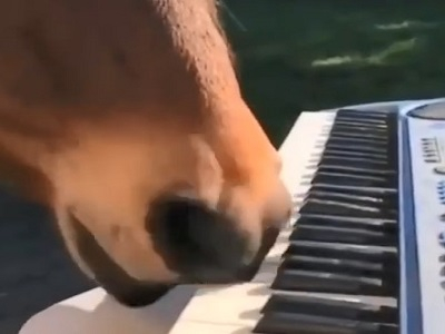 Мини видео: Ещё один пианист