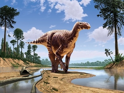 Наиболее часто встречающиеся останки динозавров